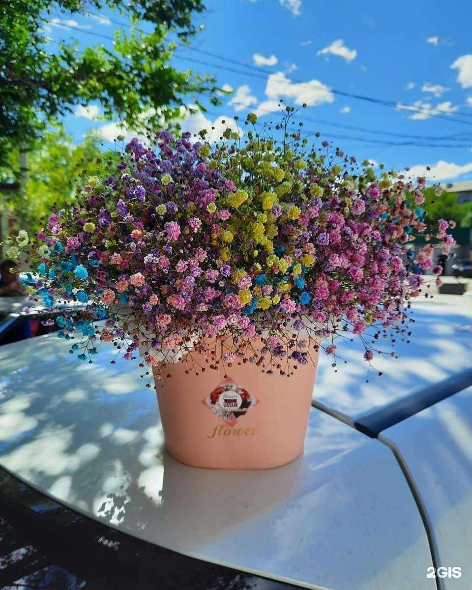 Отзывы на компанию Дом цветов в Уссурийске c фото