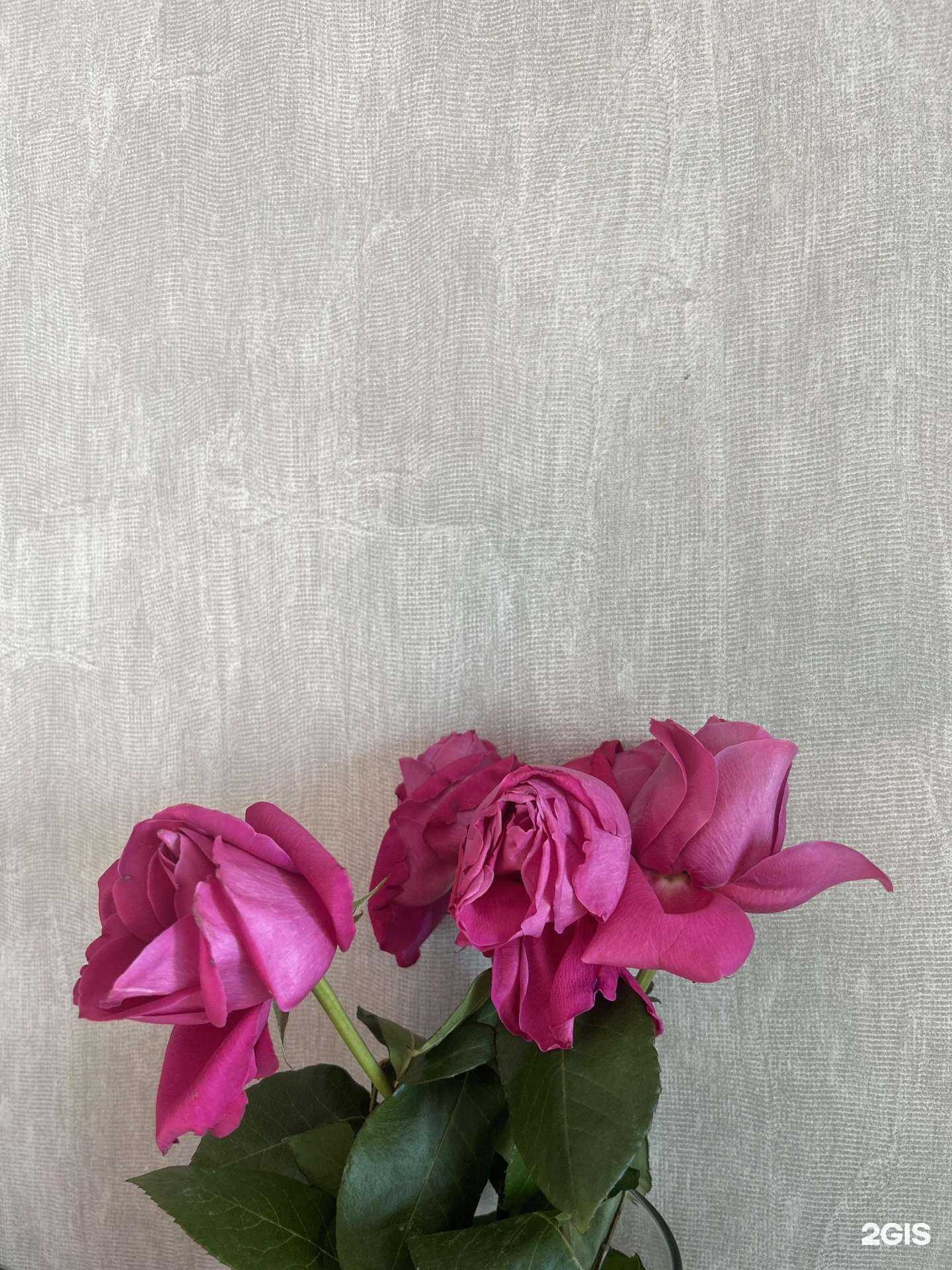 Отзывы на компанию Виктория в Челябинске c фото