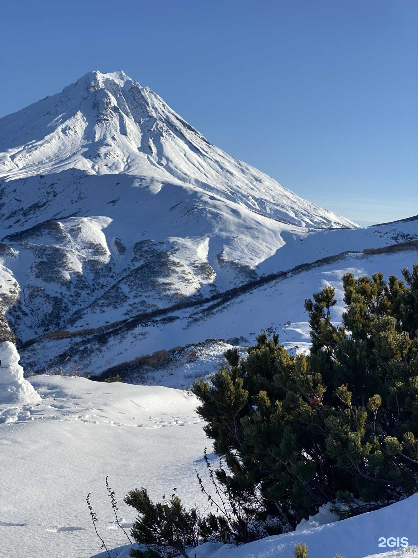 Отзывы на компанию Камчатский папа в г. Гурьевск c фото