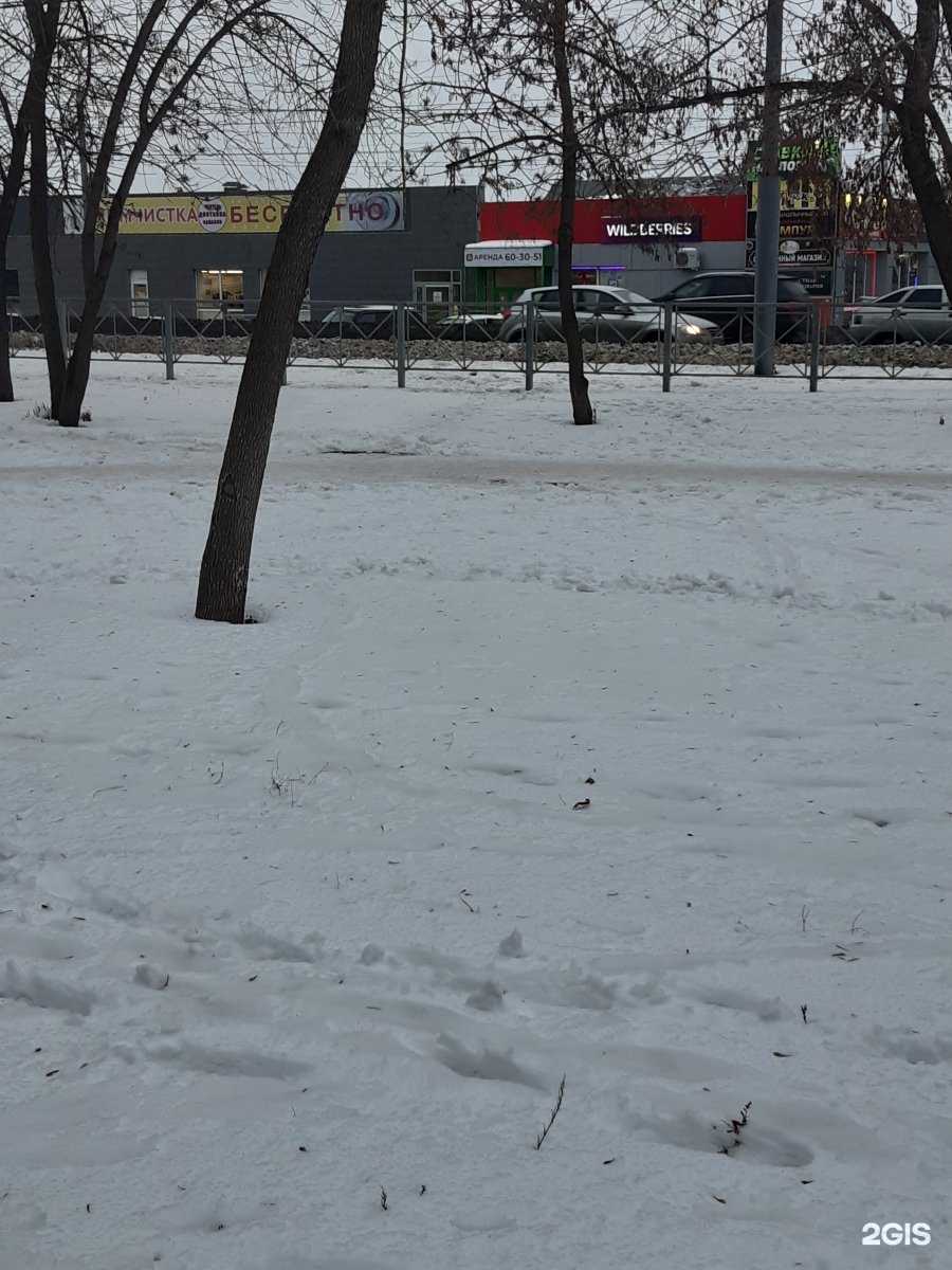 Отзывы на компанию Белый аист в Оренбурге c фото - фотография 2 из 2