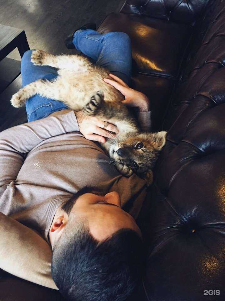 Отзывы на компанию Pride в Сургуте c фото