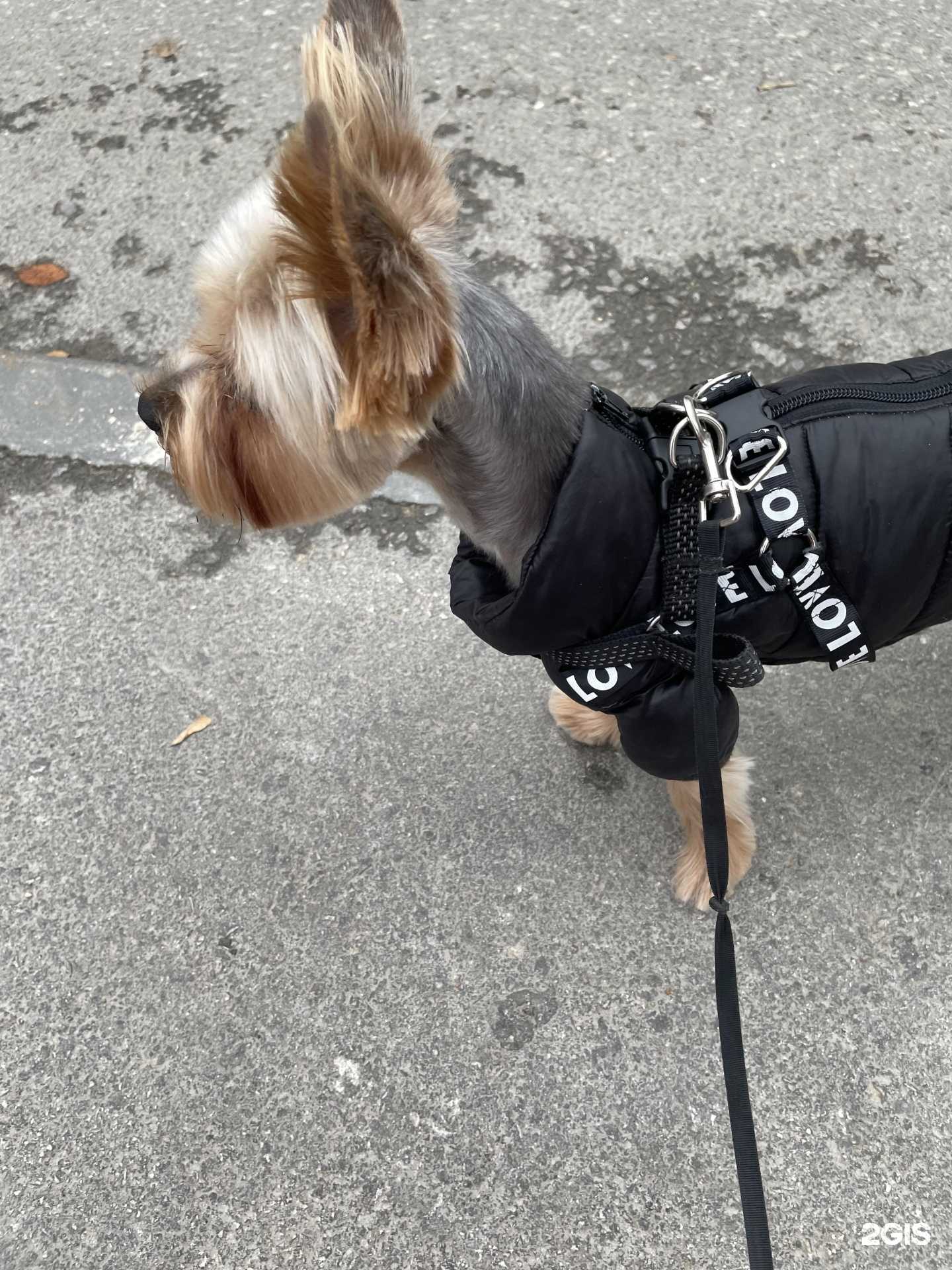 Отзывы на компанию Goldgroom в г. Пермь c фото