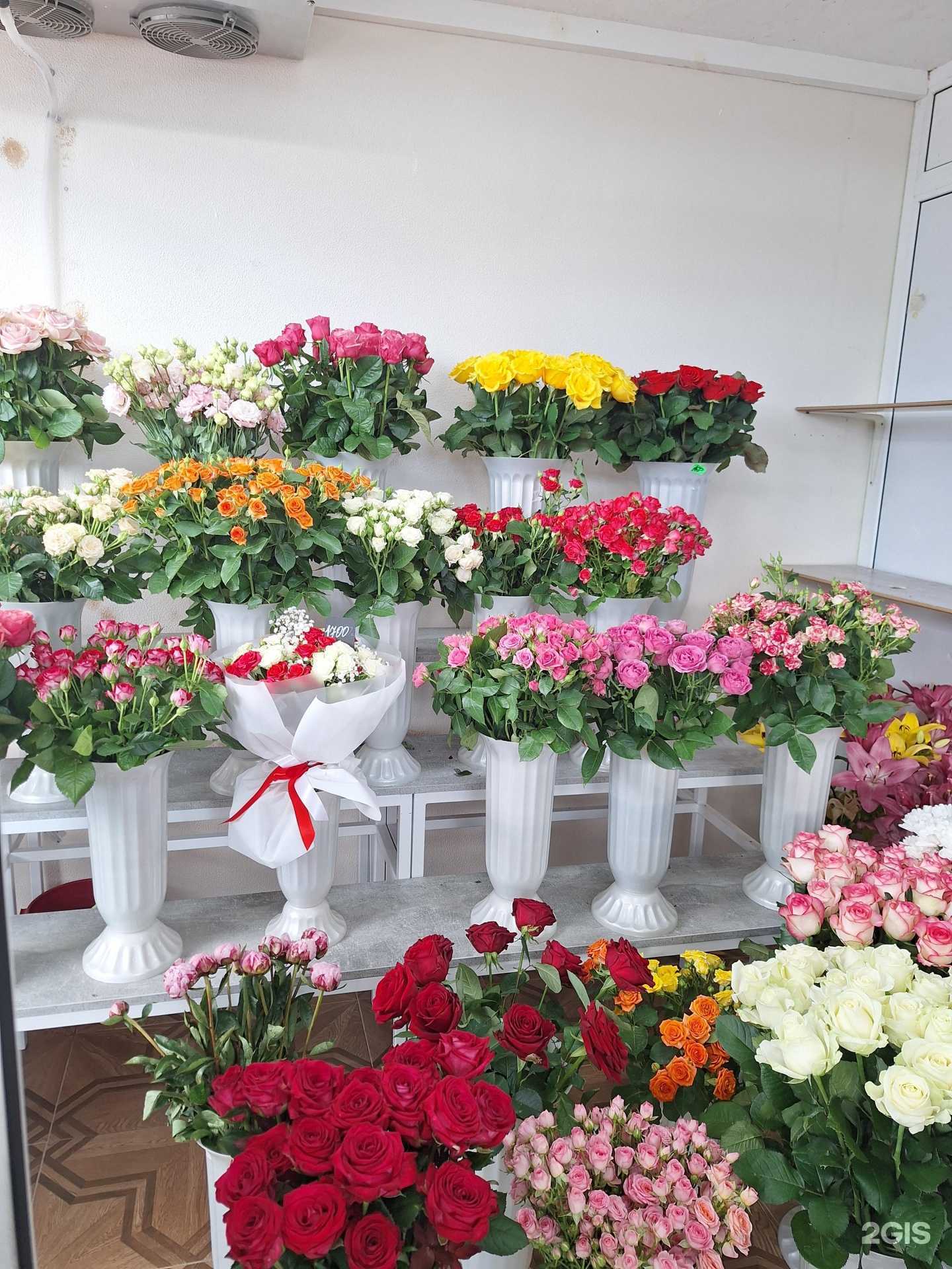 Отзывы на компанию Анита в г. Сочи c фото