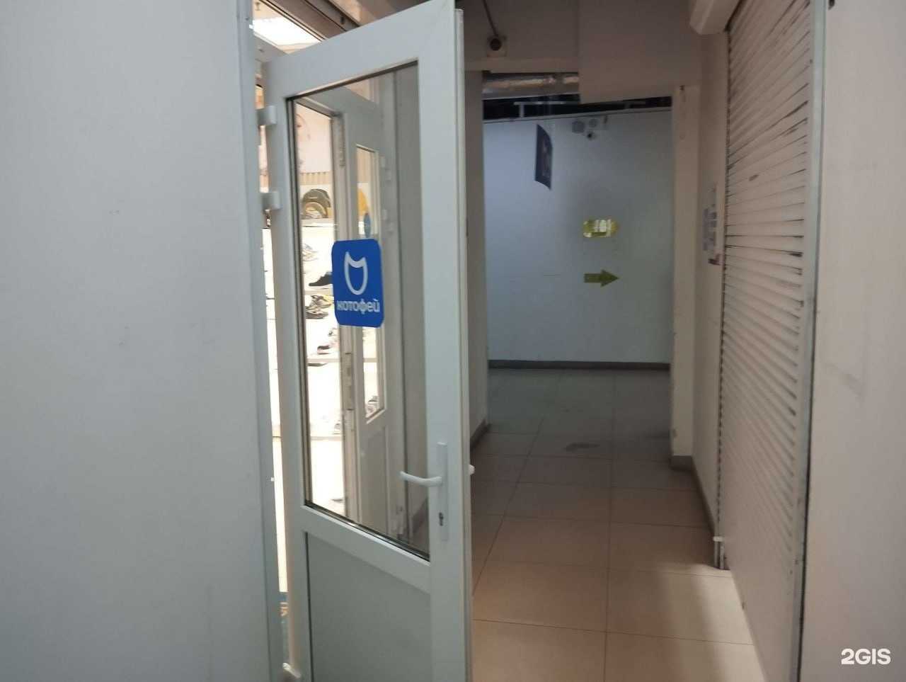 Отзывы на компанию Котофей в Екатеринбурге c фото