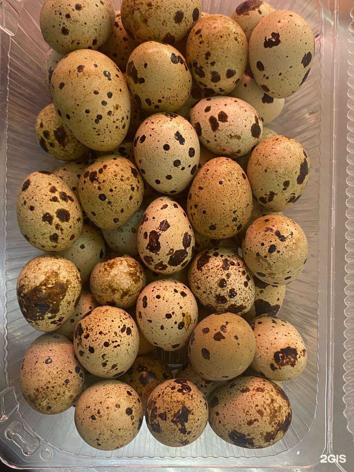 Отзывы на компанию Магазин халяльного мяса в Пятигорске c фото