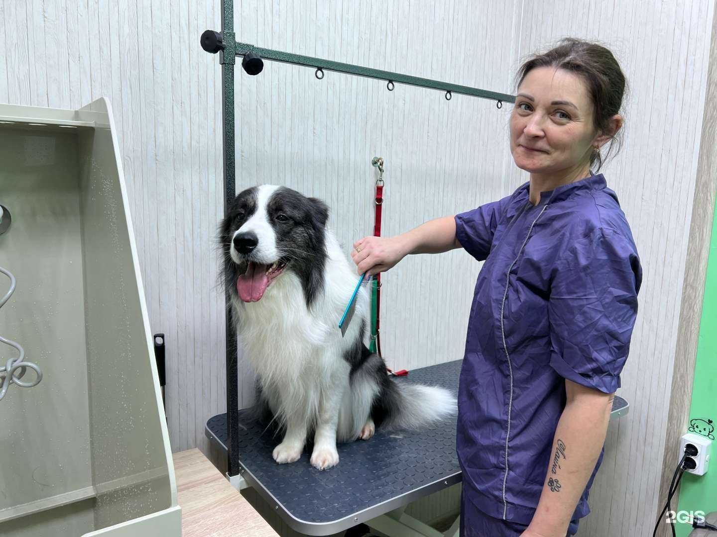 Отзывы на компанию Лайна+ в г. Новый Уренгой c фото