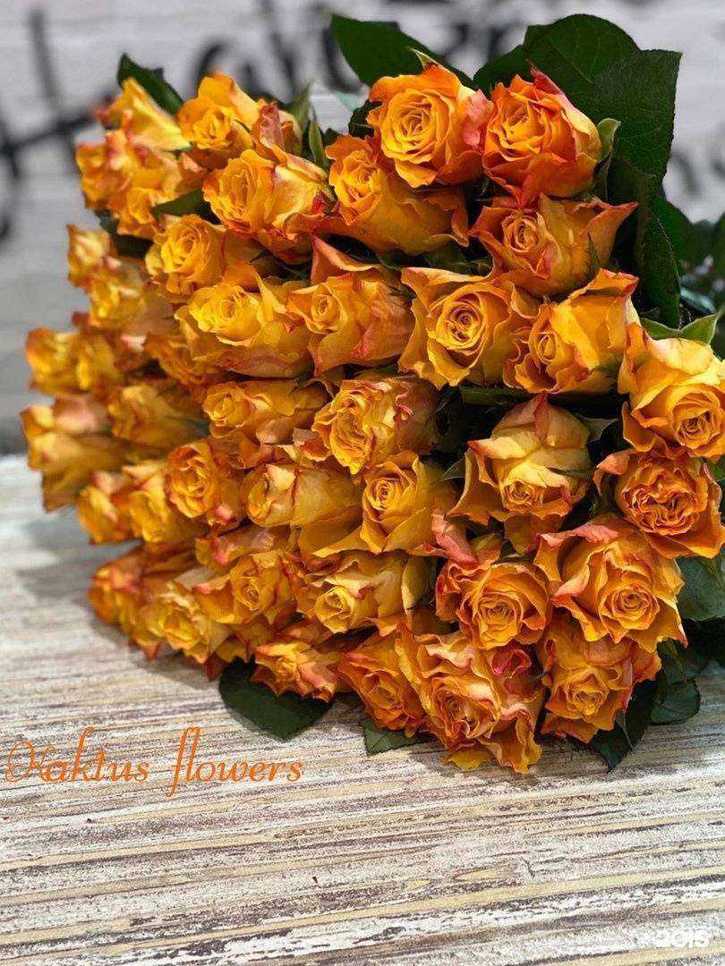 Отзывы на компанию Кактус в г. Омск c фото