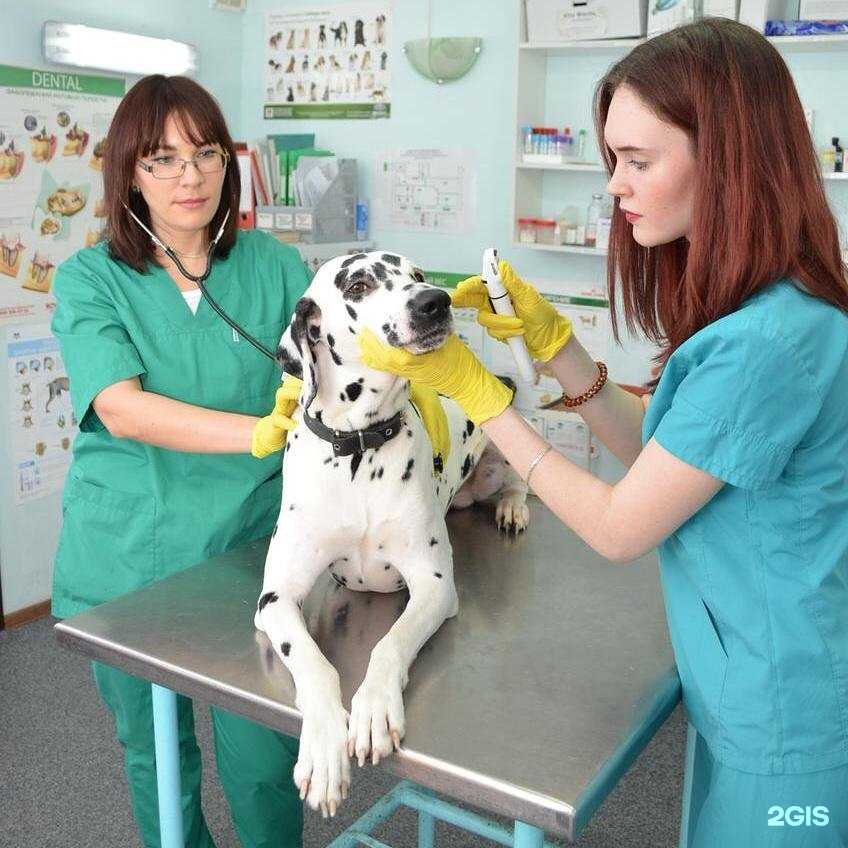 Отзывы на компанию Друг в г. Набережные Челны c фото