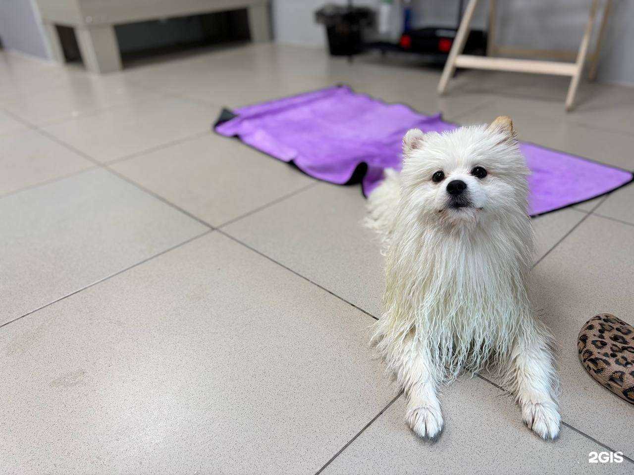 Отзывы на компанию Bark Side в г. Челябинск c фото