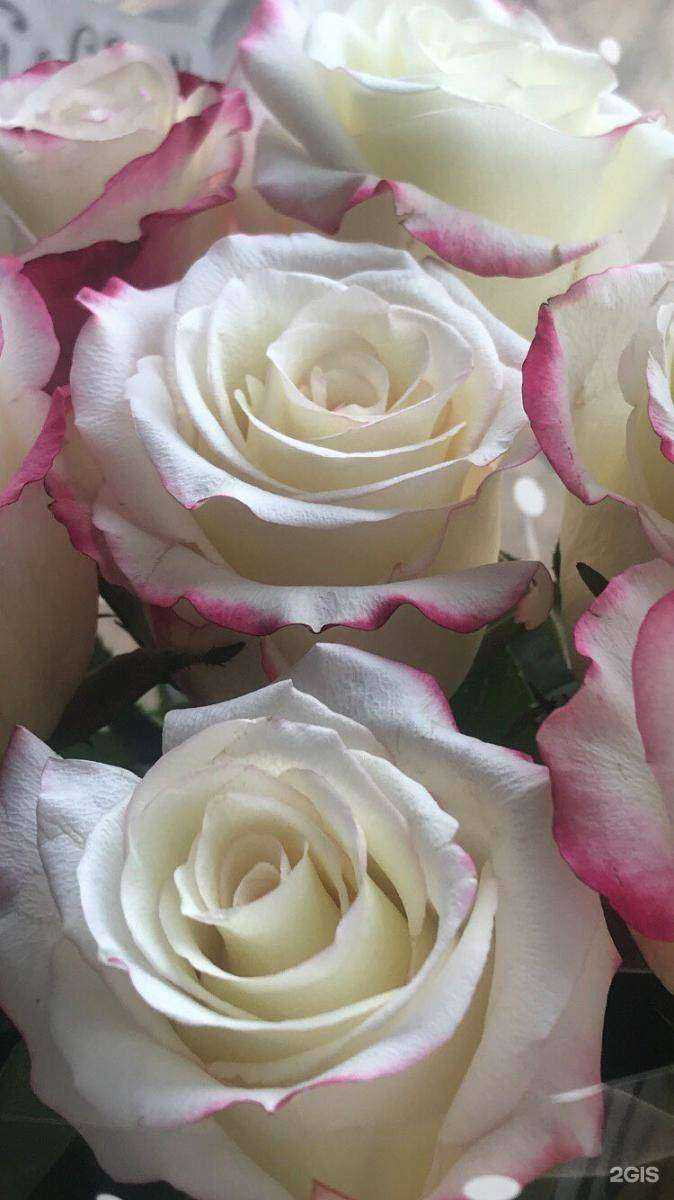 Отзывы на компанию 101 букет в г. Красноярск c фото