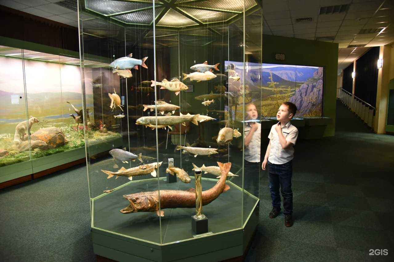 Отзывы на компанию Таймырский краеведческий музей в г. Дудинка c фото