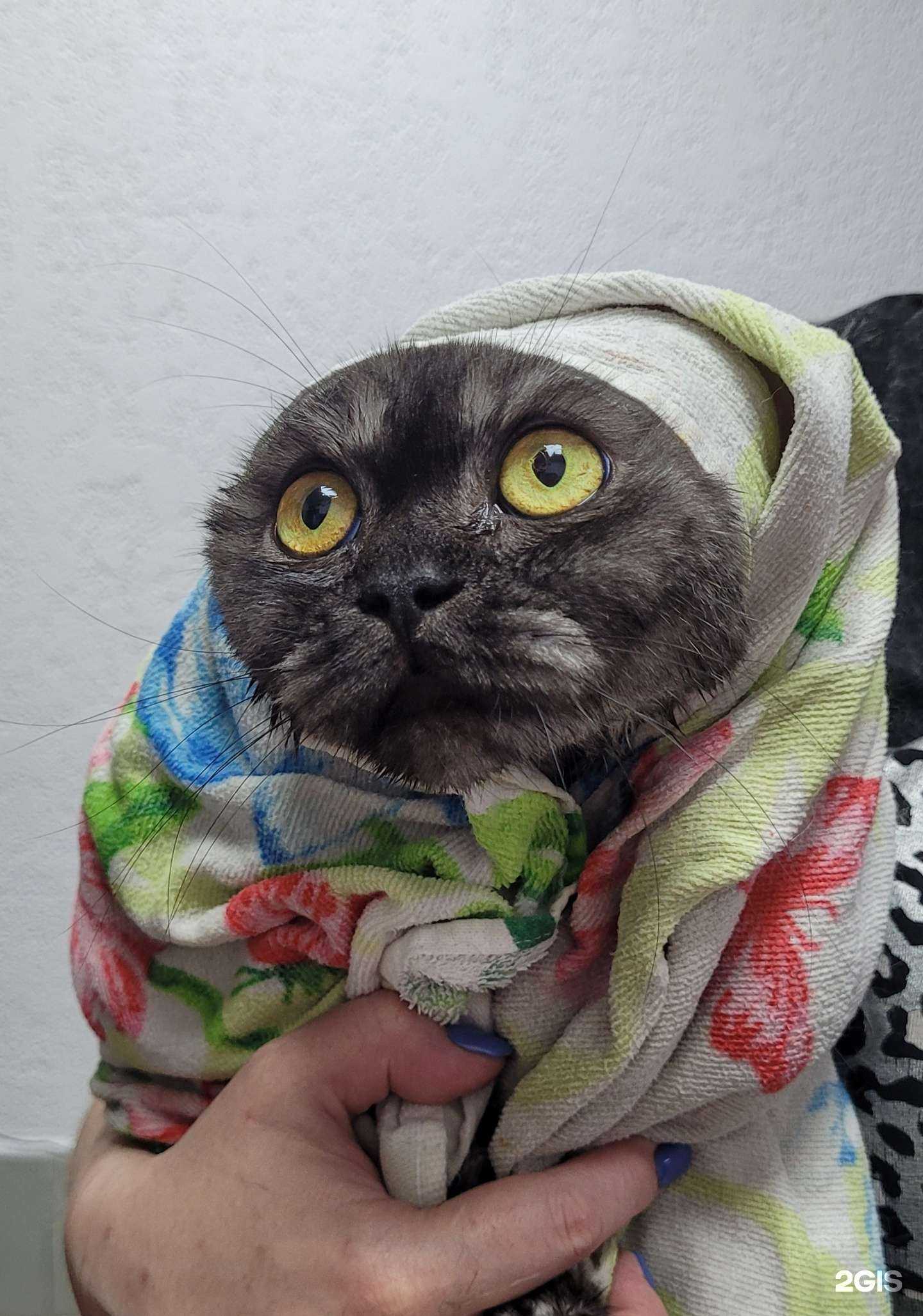 Отзывы на компанию Кто сказал Gav в Биробиджане c фото