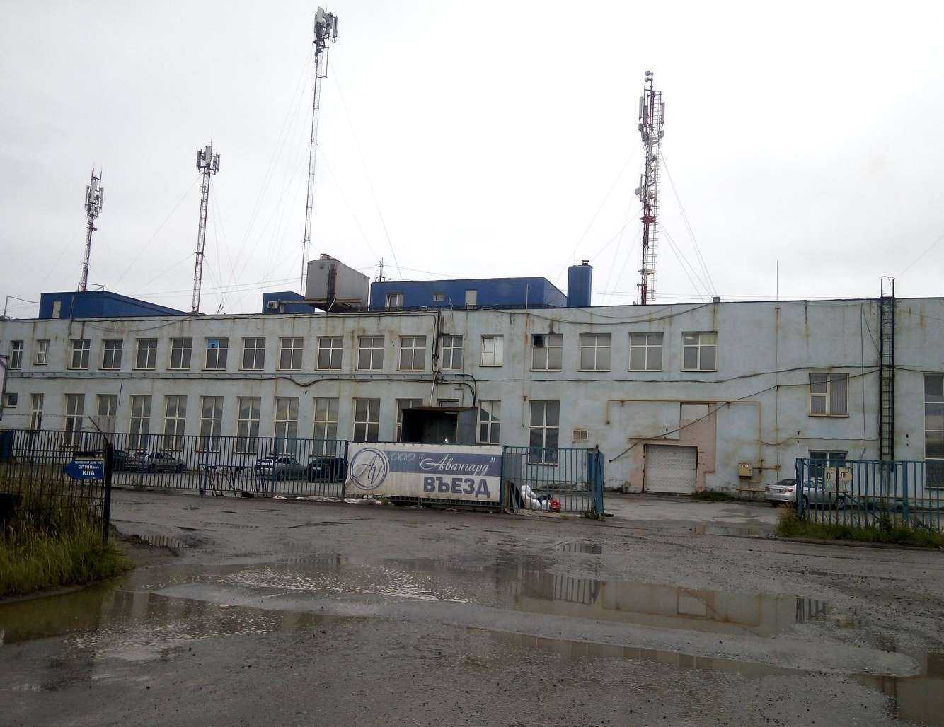 Отзывы на компанию Снегирь в Челябинске c фото - фотография 2 из 2