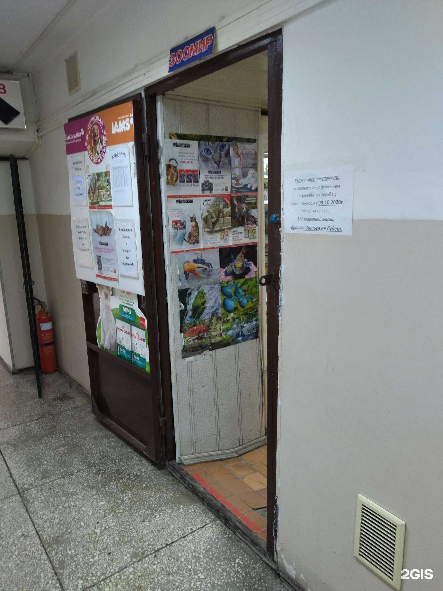 Отзывы на компанию Хвостики в Томске c фото