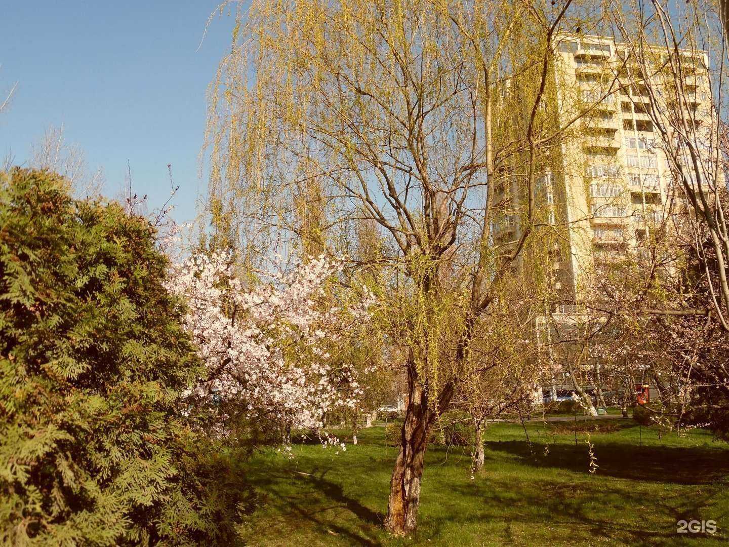 Отзывы на компанию Nova Production в г. Махачкала c фото