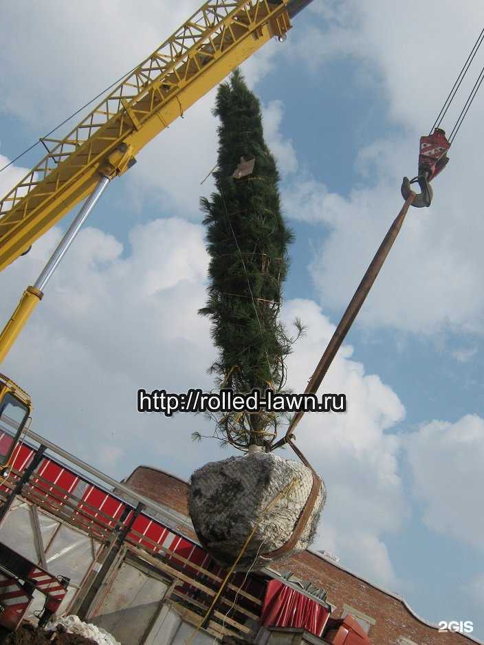 Отзывы на компанию Ландшафтный дизайн в Волгограде c фото