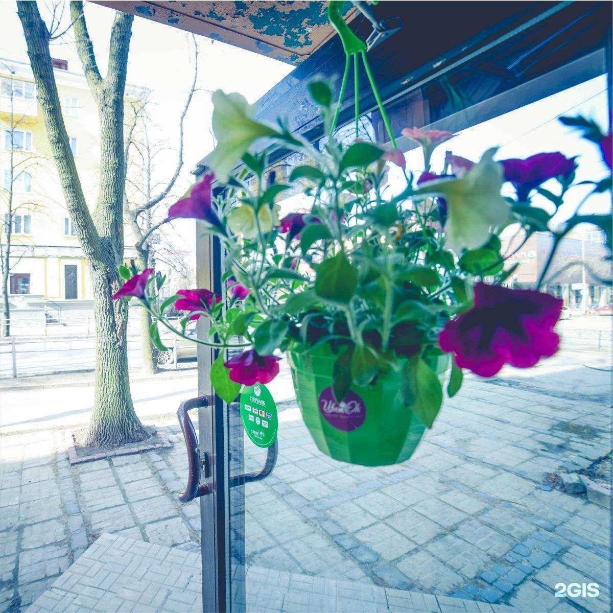 Отзывы на компанию Цвет`ok в г. Петрозаводск c фото