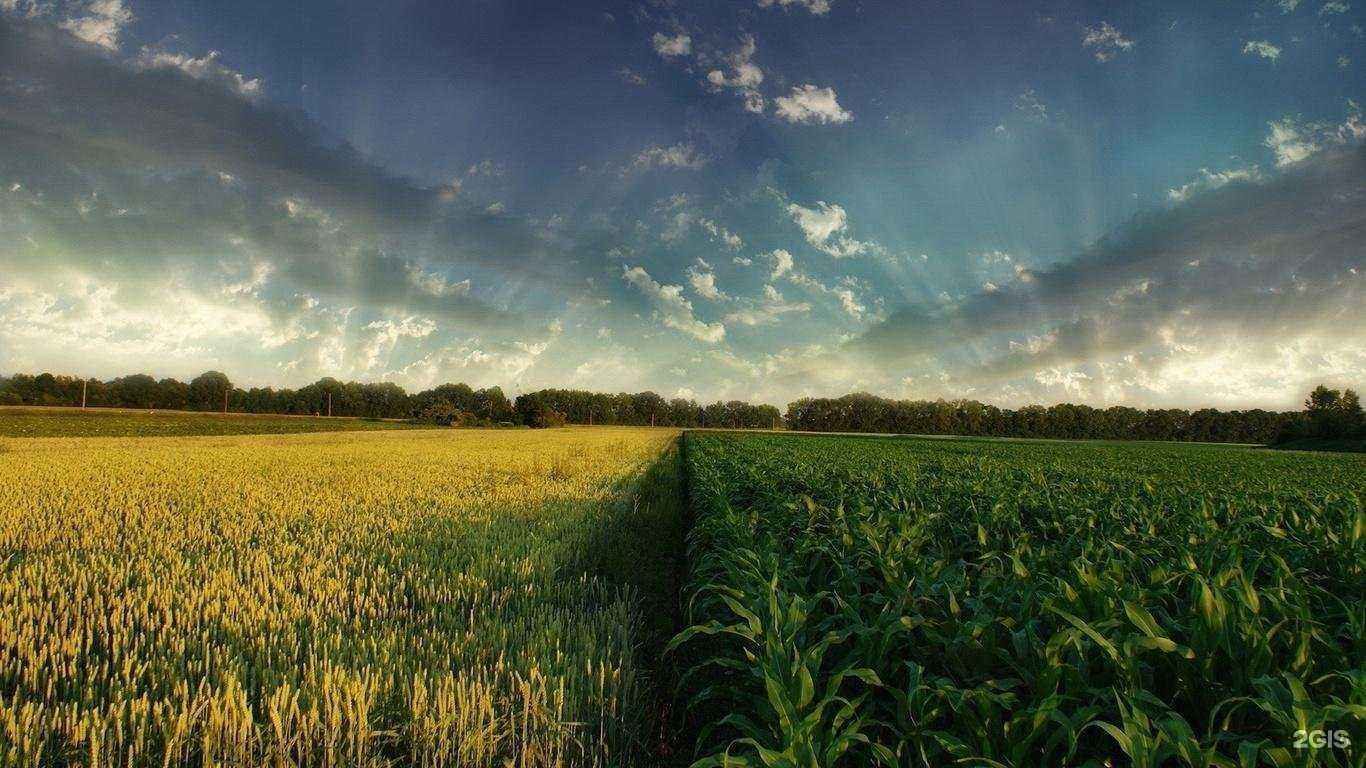 Отзывы на компанию Агроаптека в Копейске c фото