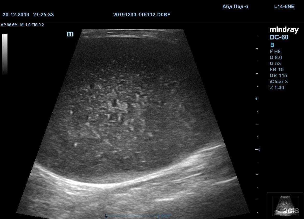 Отзывы на компанию Doctor vet в Саратове c фото