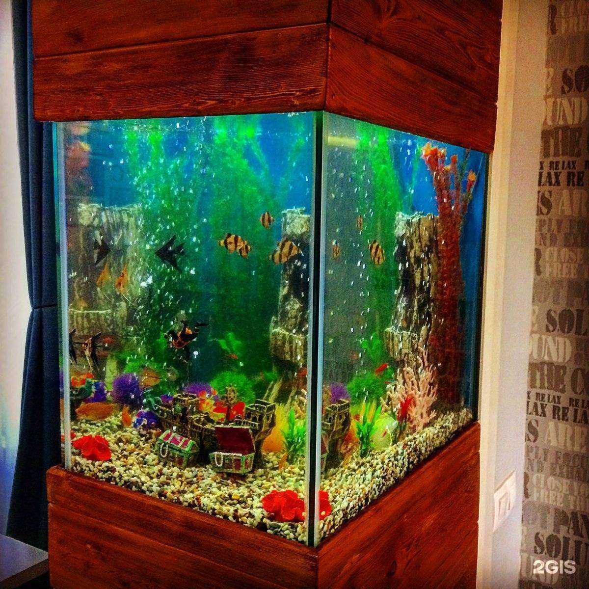 Отзывы на компанию Father`s fish в Новокузнецке c фото