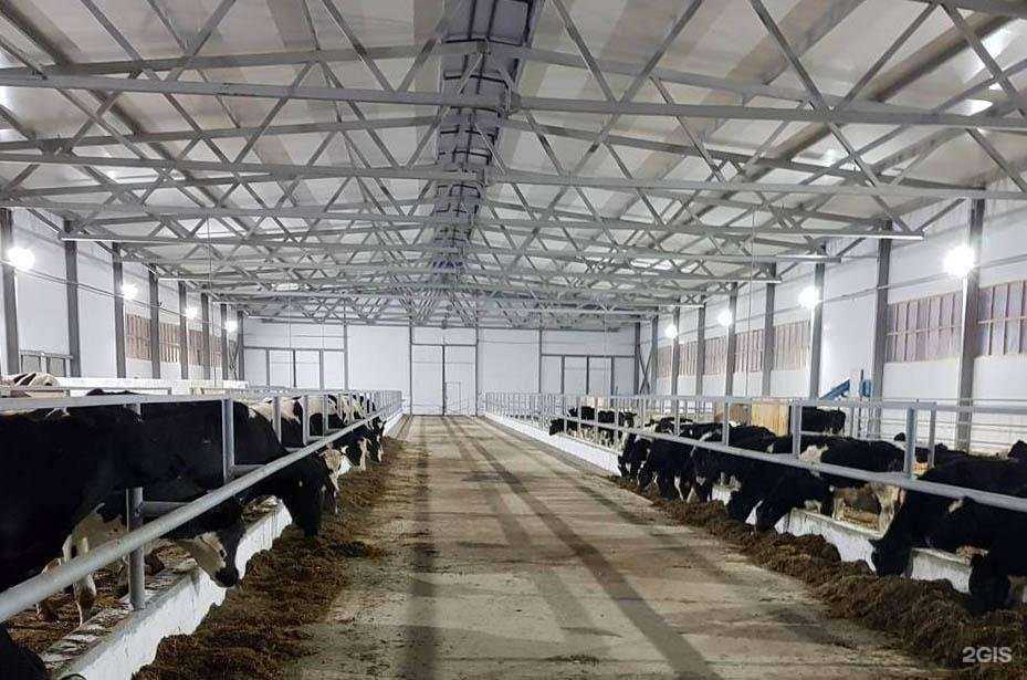 Отзывы на компанию РенеТранс в Чебоксарах c фото