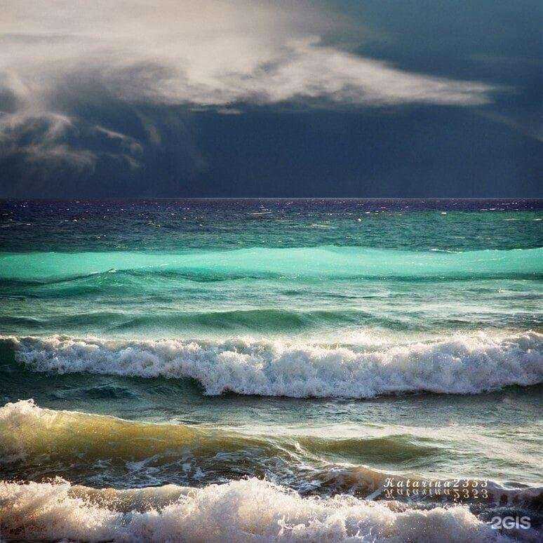 Отзывы на компанию Едем вместе в г. Тула c фото