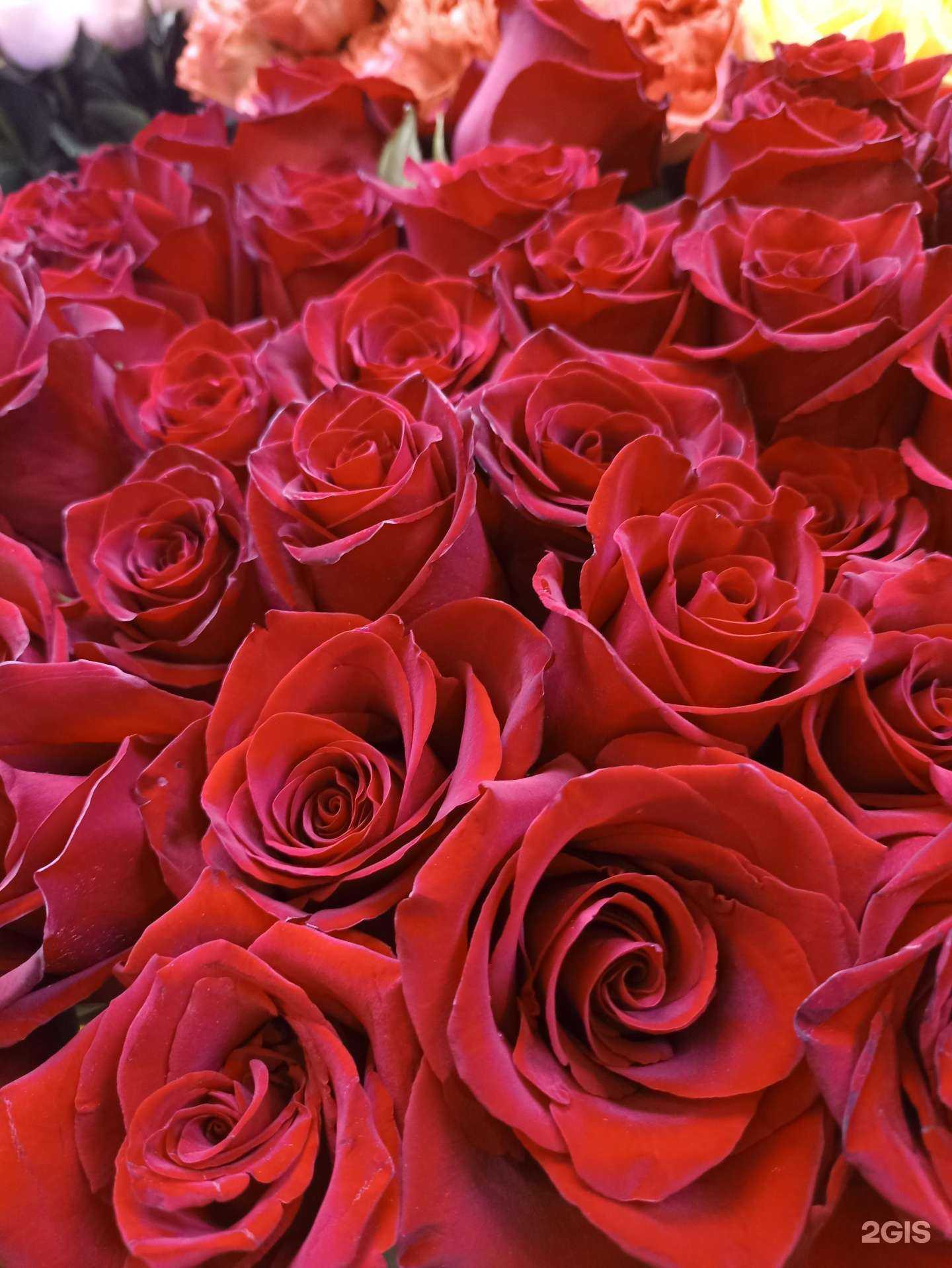 Отзывы на компанию Служба доставки цветов в г. Курган c фото