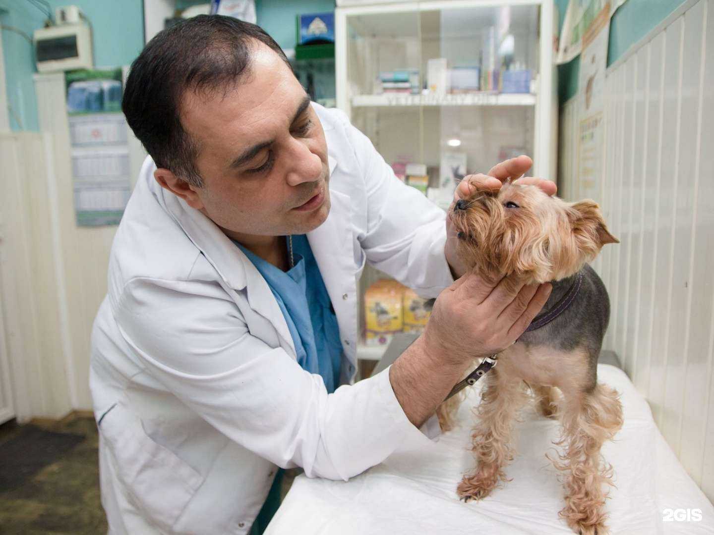 Отзывы на компанию Спаси меня в г. Челябинск c фото