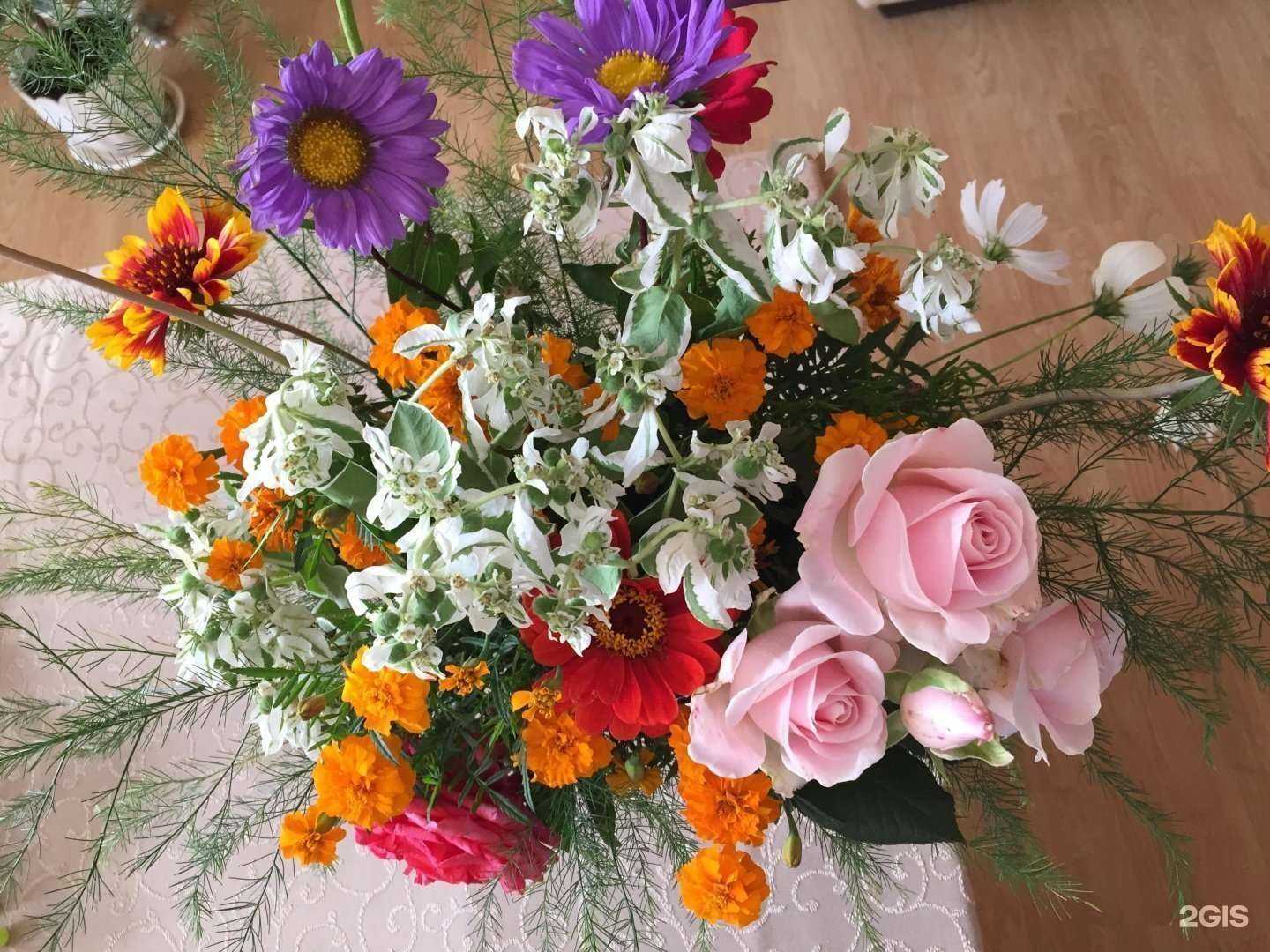 Отзывы на компанию English+ в Сургуте c фото