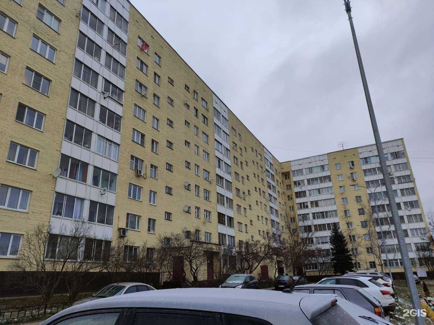 Отзывы на компанию Кенгуру в Истре c фото - фотография 2 из 2