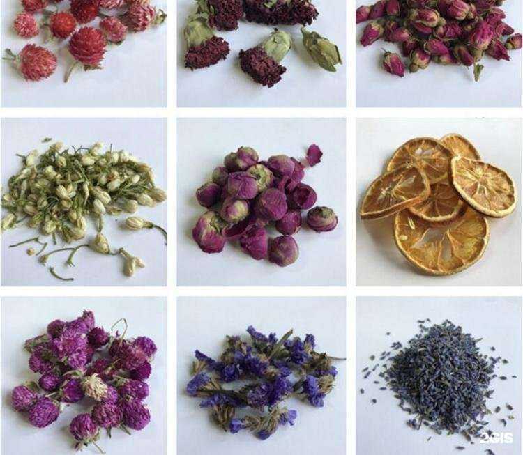 Отзывы на компанию Бисквит в г. Верхняя Пышма c фото