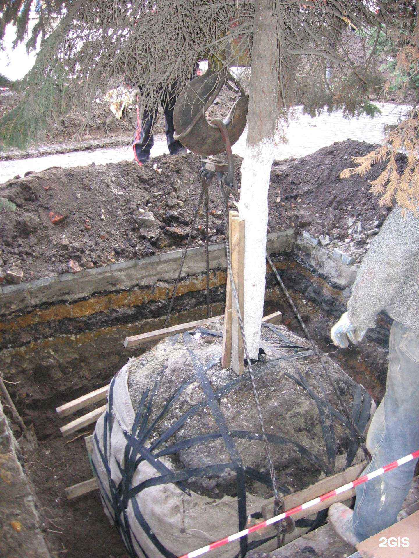 Отзывы на компанию Зелёная Скорая Помощь в Ростове-на-Дону c фото