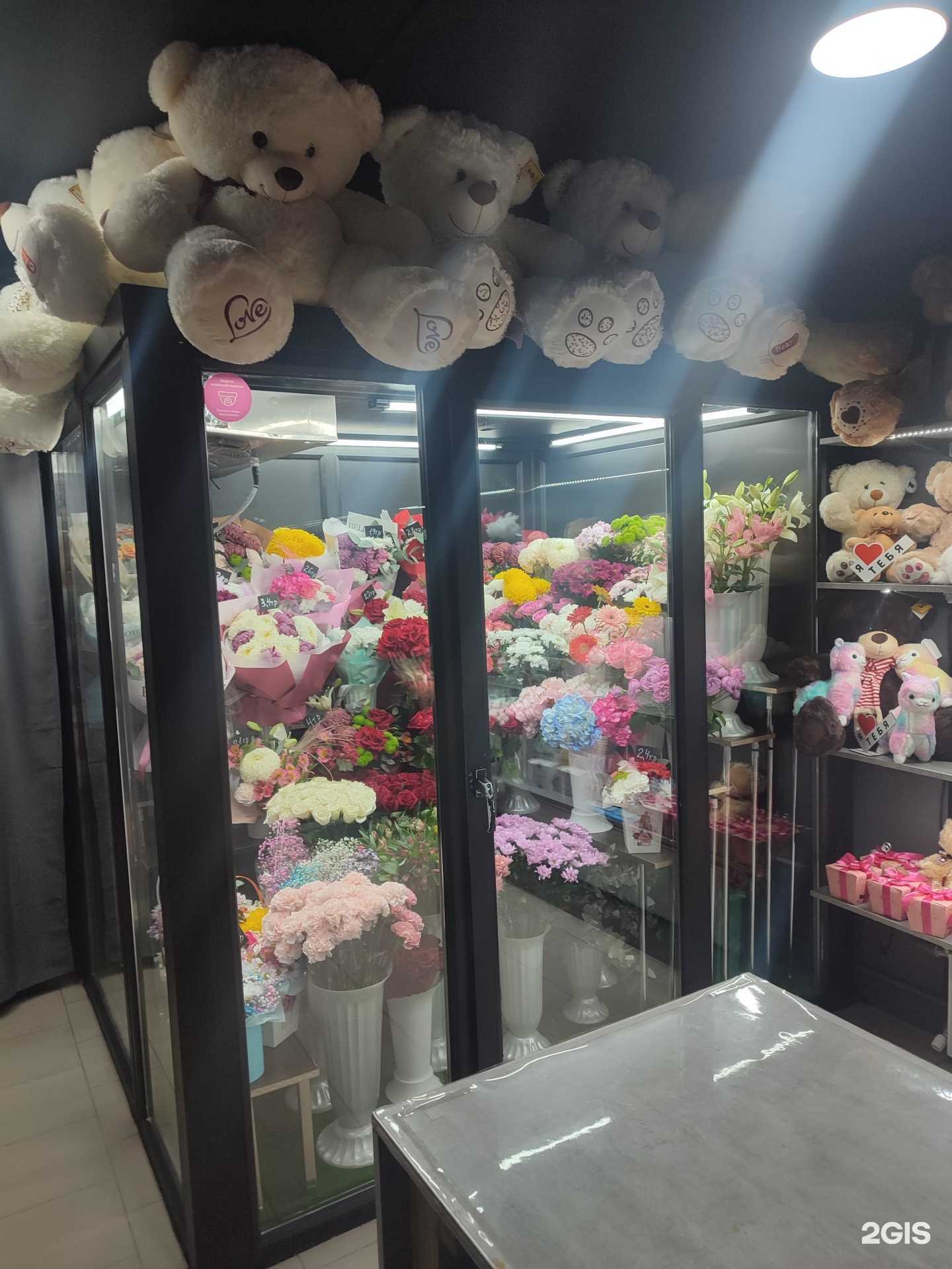 Отзывы на компанию Цветущий город в г. Геленджик c фото