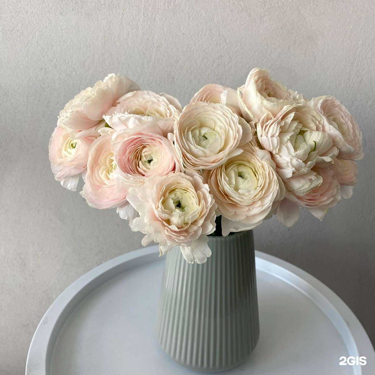 Отзывы на компанию 1001 Роза в Барнауле c фото