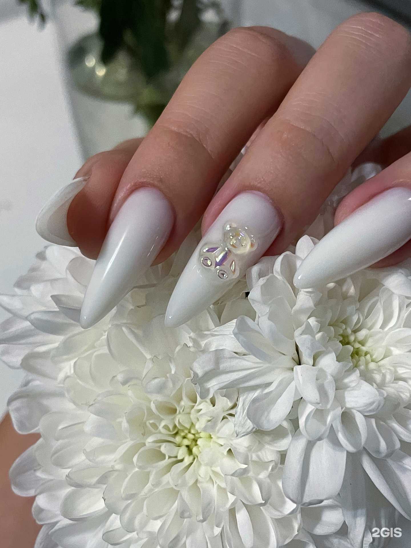 Отзывы на компанию Студия абсолютной красоты в г. Кемерово c фото