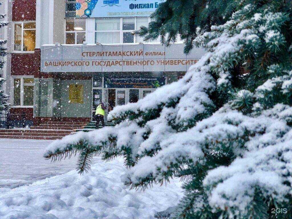 Отзывы на компанию Уфимский университет науки и технологий в Стерлитамаке c фото