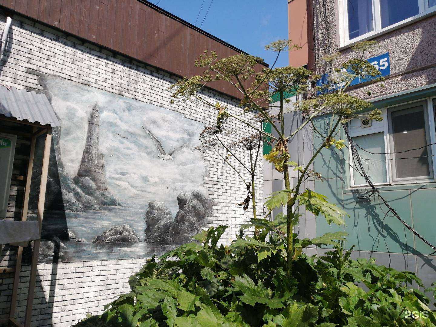 Отзывы на компанию Новая Аптека в Южно-Сахалинске c фото - фотография 2 из 2