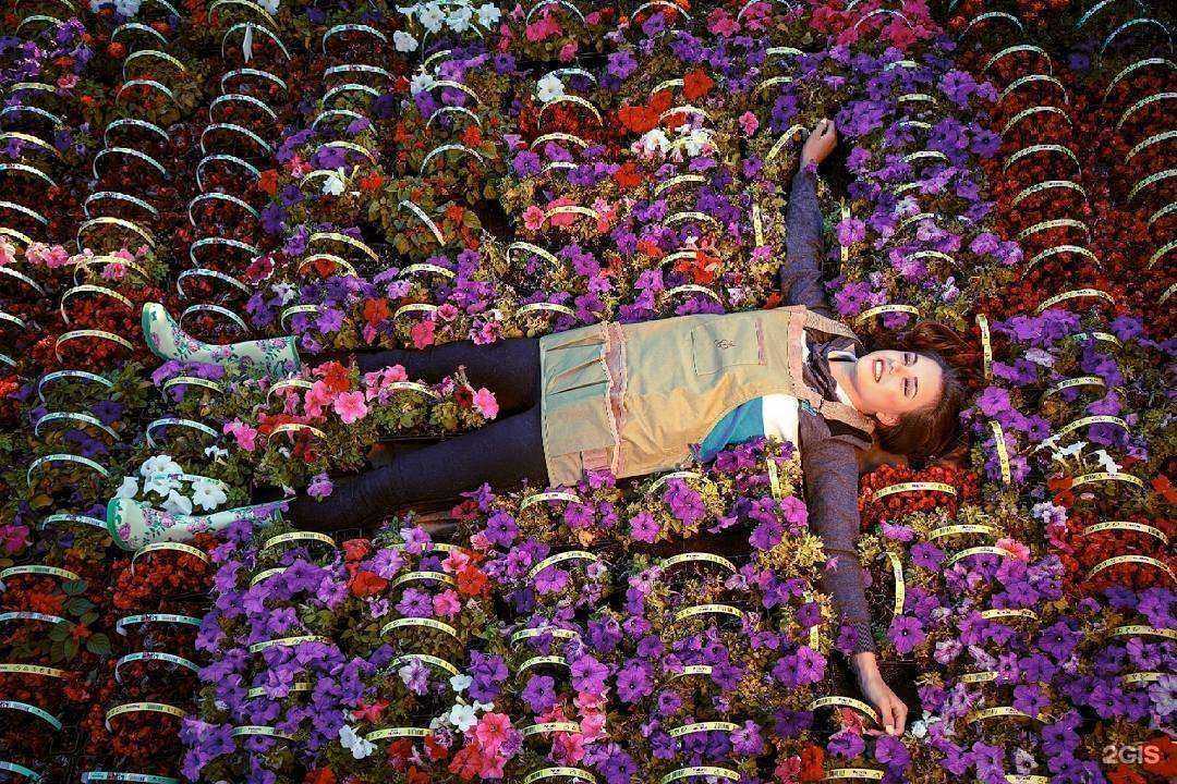 Отзывы на компанию Протея-сад в Калининграде c фото