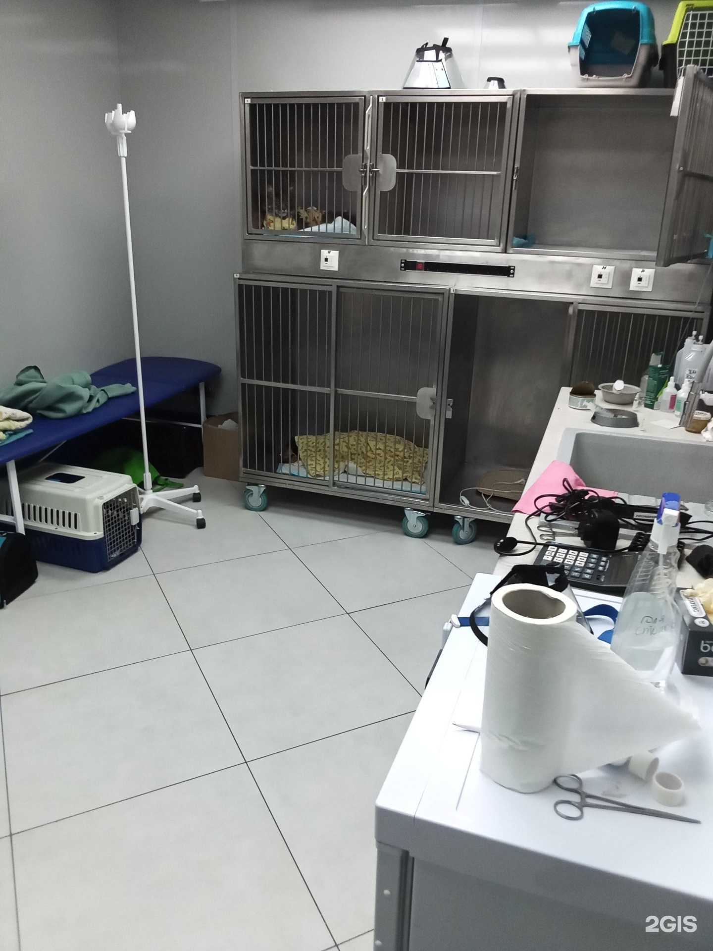 Отзывы на компанию Областная станция по борьбе с болезнями животных Калининградской области в Калининграде c фото