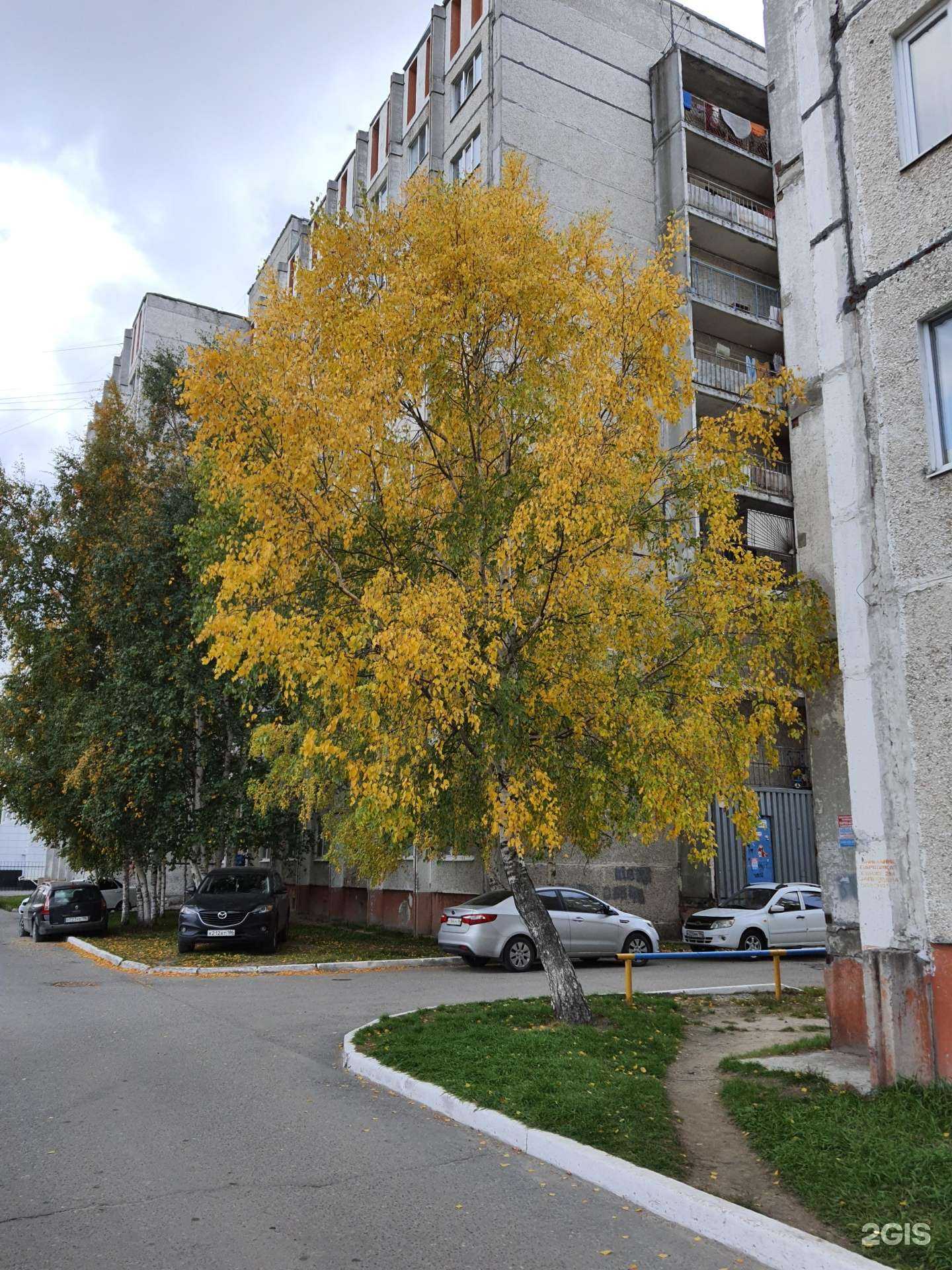 Отзывы на компанию Advance в Сургуте c фото - фотография 2 из 2