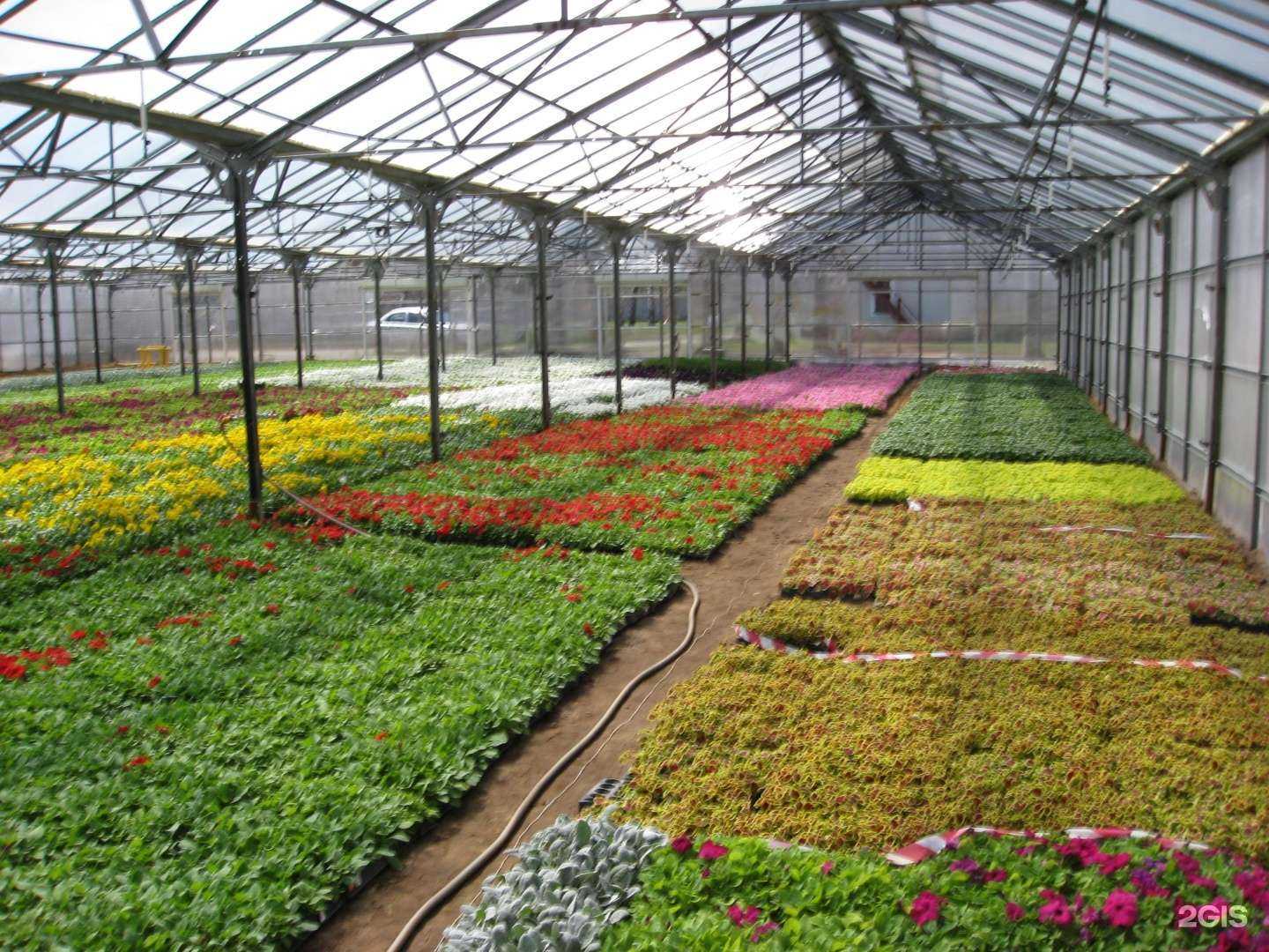 Отзывы на компанию Второй Дом в г. Воронеж c фото