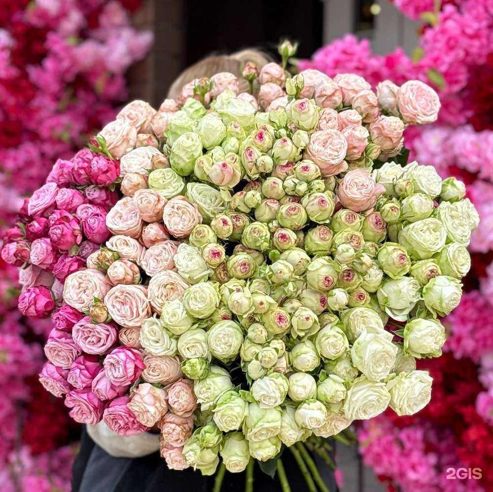 Отзывы на компанию Евгения в Астрахани c фото