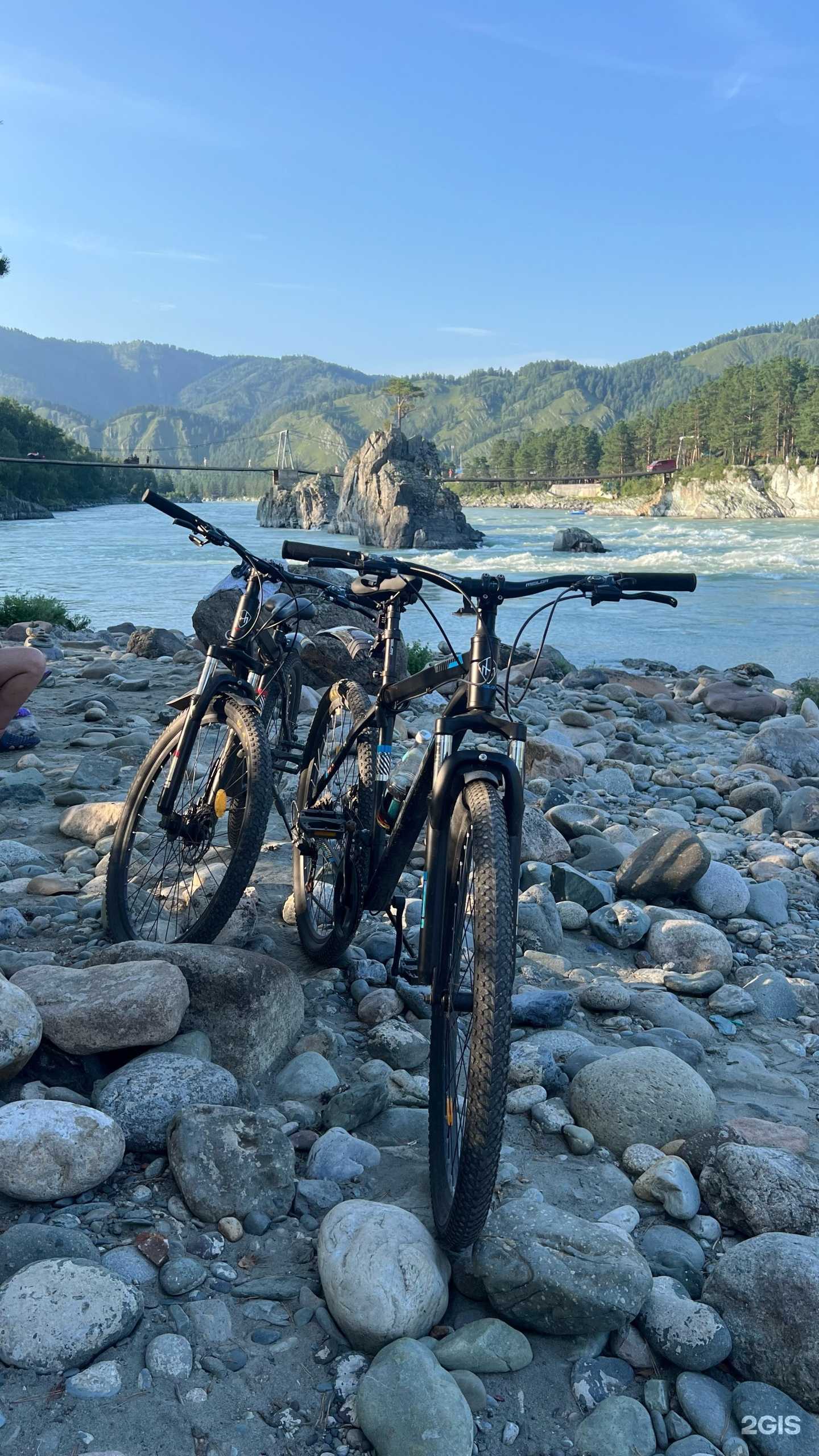 Отзывы на компанию Магазин по продаже велосипедов в г. Новосибирск c фото