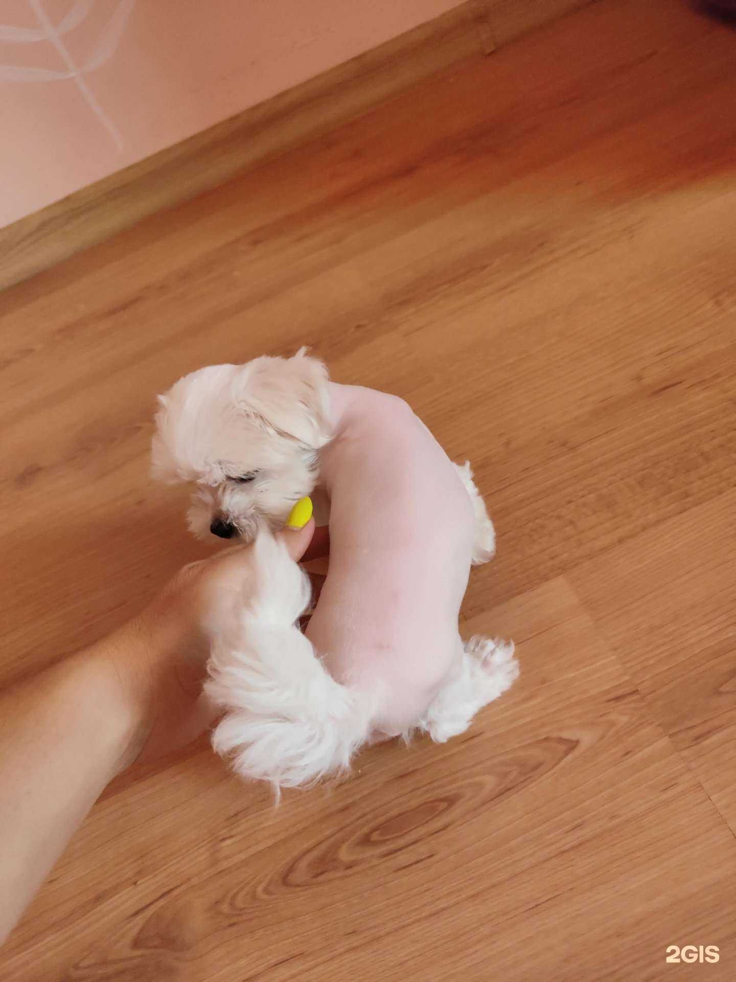 Отзывы на компанию Студия красоты в Краснодаре c фото