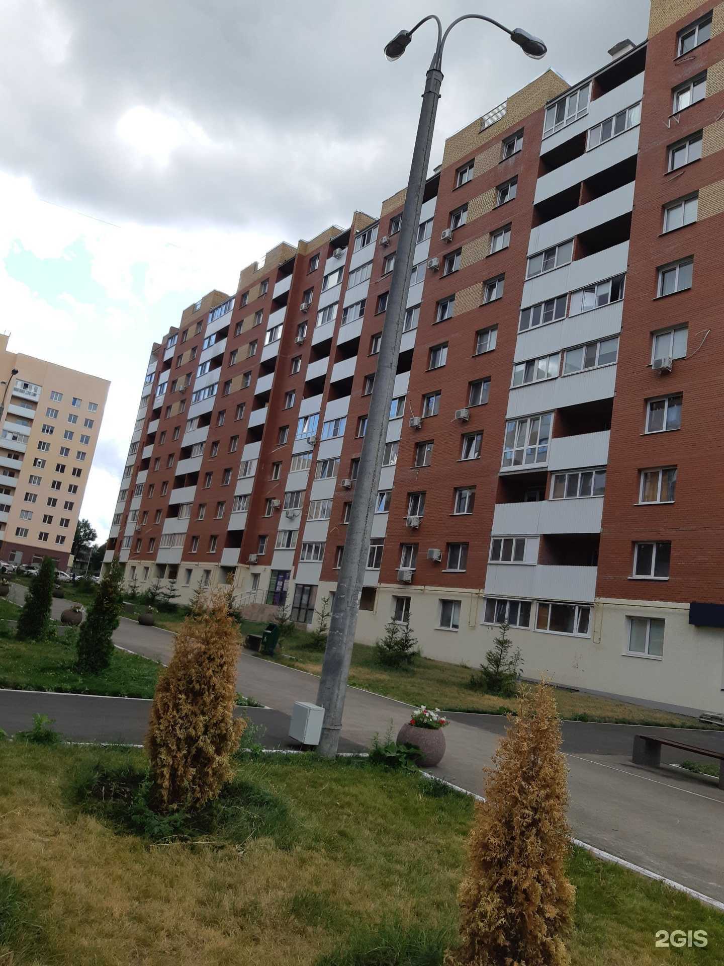 Отзывы на компанию Цитрус в Самаре c фото - фотография 2 из 2