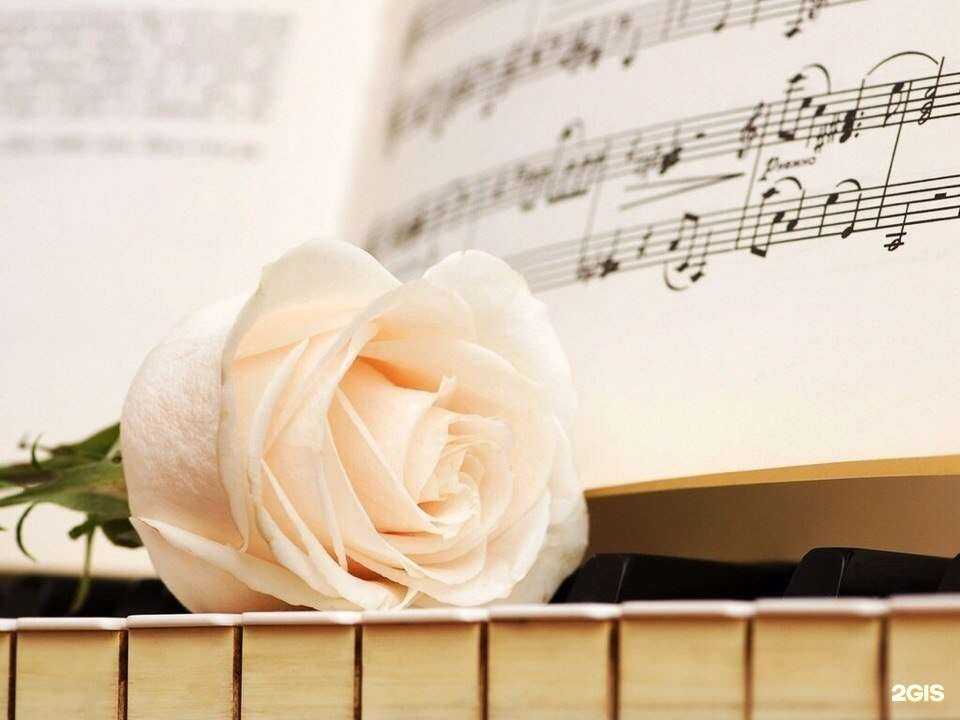 Отзывы на компанию Manufaktura Tango в Ангарске c фото