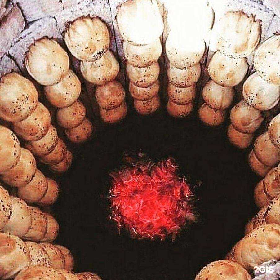 Отзывы на компанию Снегири в Нижнем Новгороде c фото