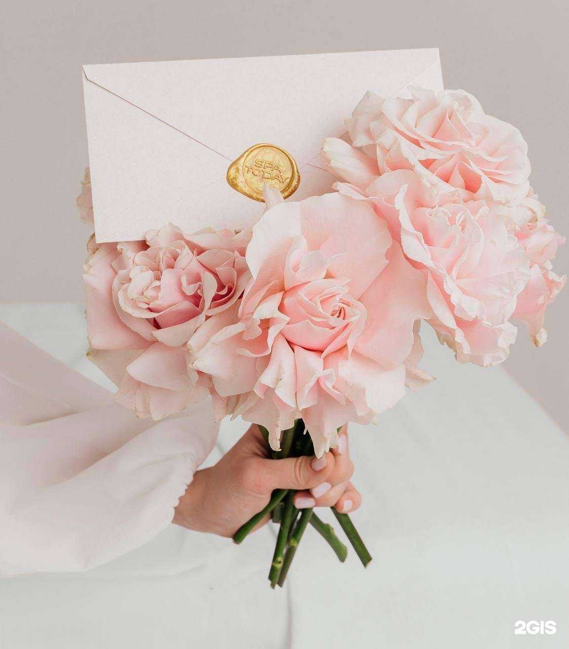 Отзывы на компанию SPAday в Сочи c фото