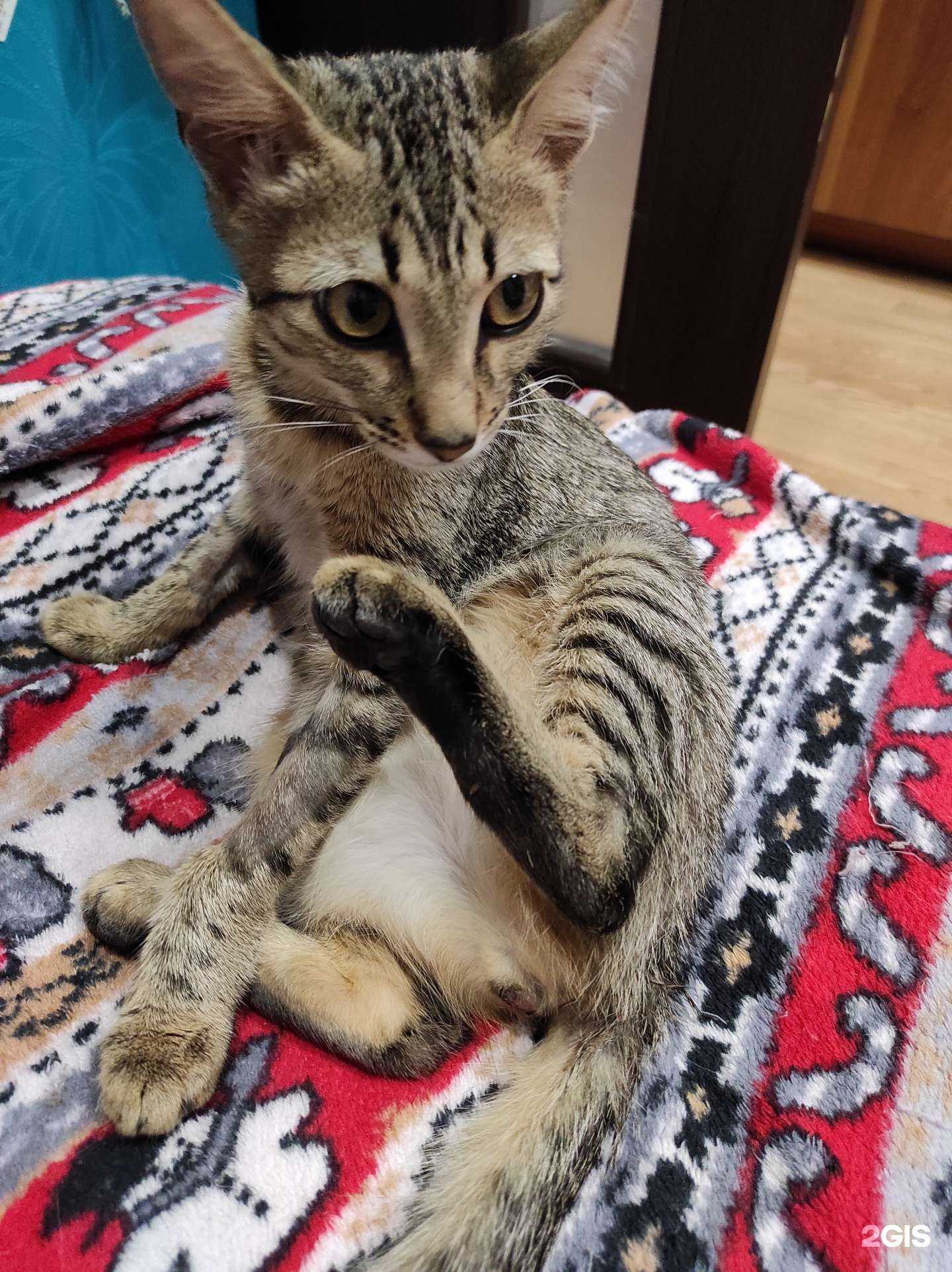 Отзывы на компанию Преданный друг в г. Казань c фото