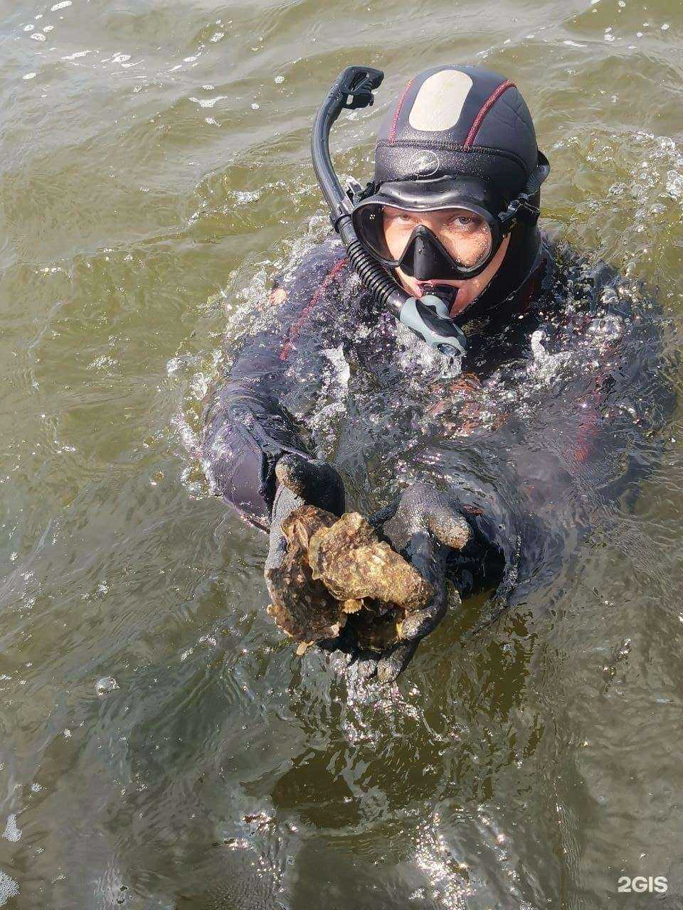 Отзывы на компанию Сеофуд в Владивостоке c фото